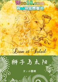 狮子与太阳宝小说